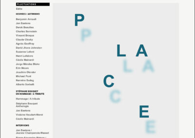 PLACE 8 FLUCTUATIONS 2026